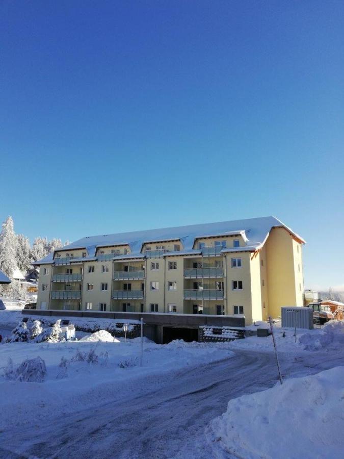 Апартаменты Residenz-Grafenmatt-Feldberg-Schwarzwald Фельдберг Экстерьер фото